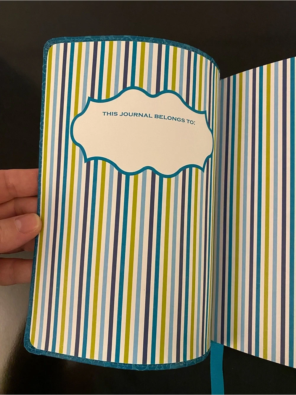 Jonathan Adler Meadow Mosaic Soft Teal Journal Barnes & Noble Limited Edition